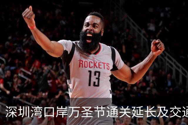 深圳湾口岸万圣节通关延长及交通流量管理策略分析